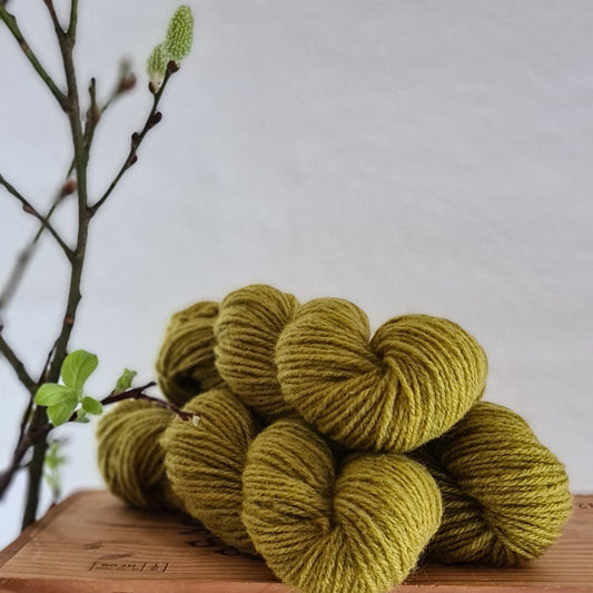 SPRUCE- Varma 3-ply yarn